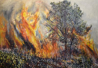 The burning tree ©Peter Weidenbaum